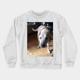 Holly Jolly Molli Crewneck Sweatshirt